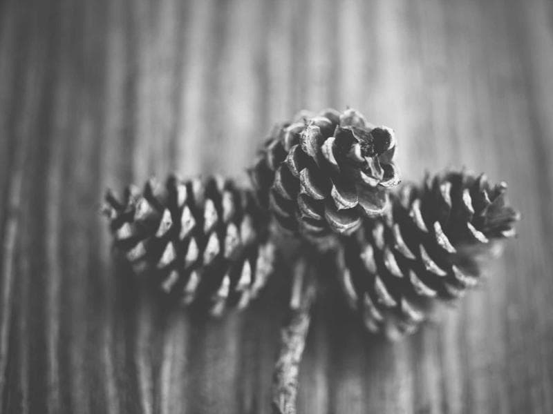 A Beginner's Guide to Sales : What You Need to Know (Vol. 15)