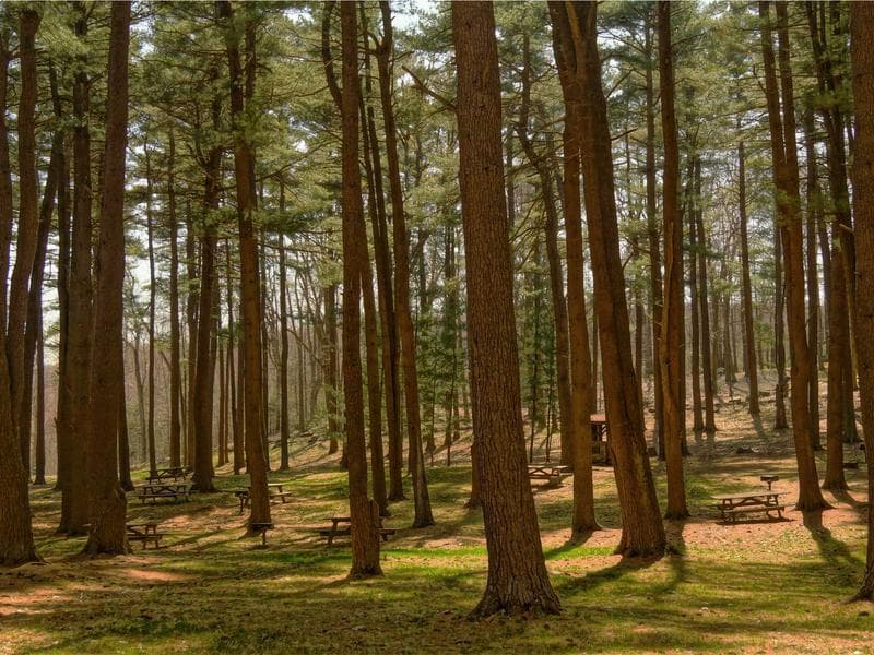 A Deep Dive into Design : Expert Perspectives (Part 3)