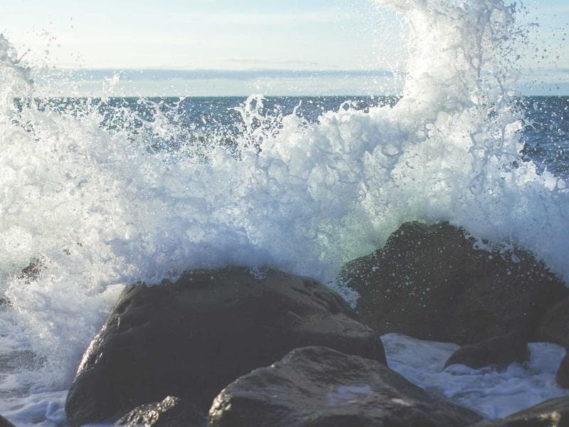 A Deep Dive into Social Media : Expert Perspectives (Part 6)