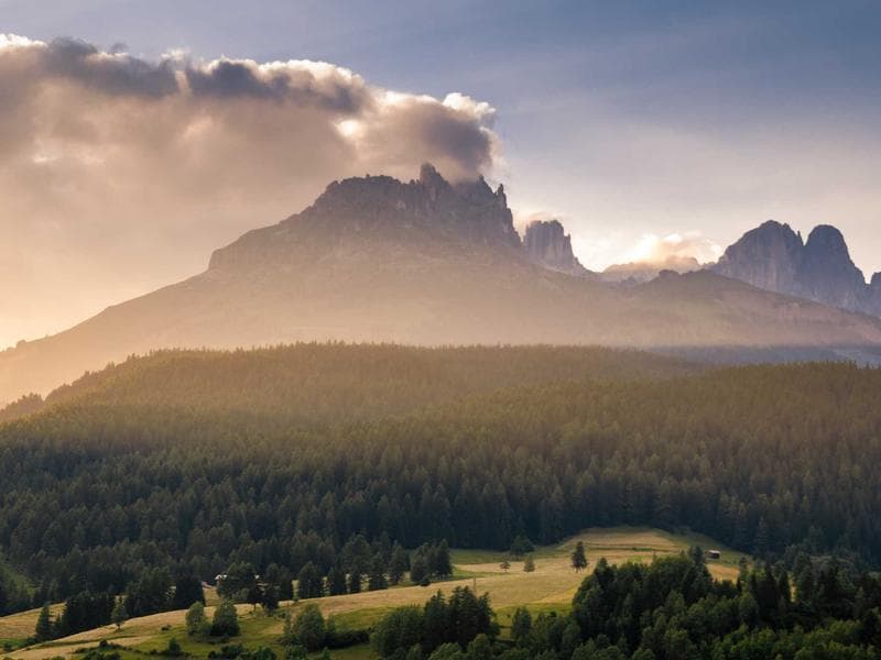 A Deep Dive into Web Development : Expert Perspectives (Part 13)