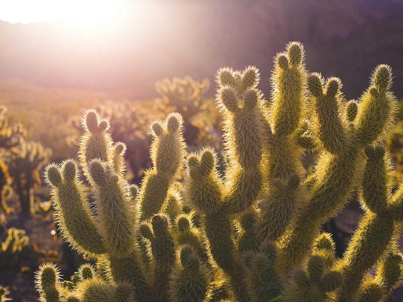 Advanced Strategies for Cloud Computing for Startups