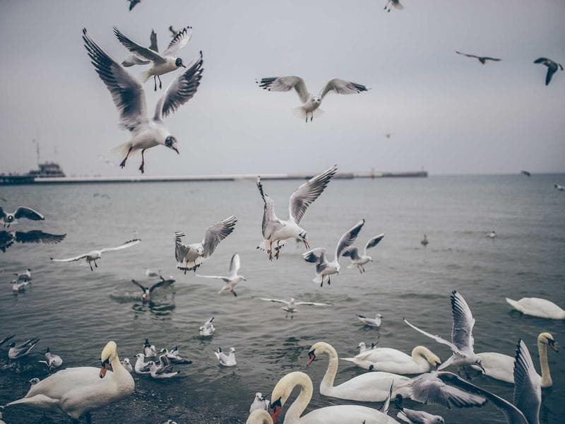 Advanced Tactics for Customer Success to Stay Ahead (Vol. 1)