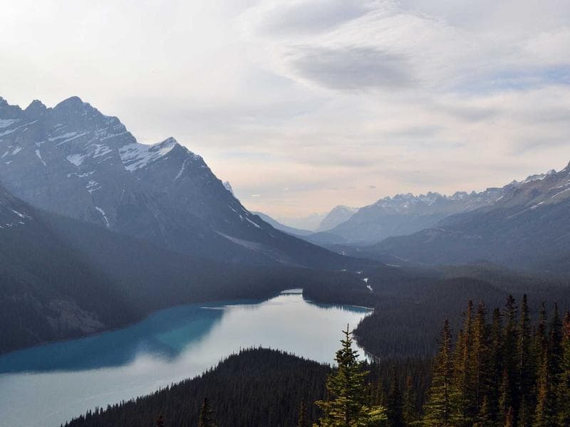 Advanced Tactics for Customer Success to Stay Ahead (Vol. 19)