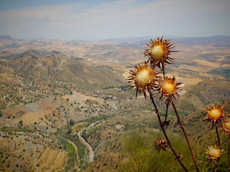 Advanced Tactics for Customer Success to Stay Ahead (Vol. 4)