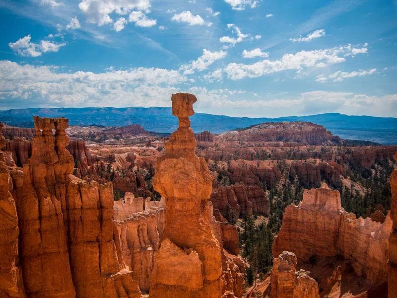 Aerial Brand Storytelling with Drones