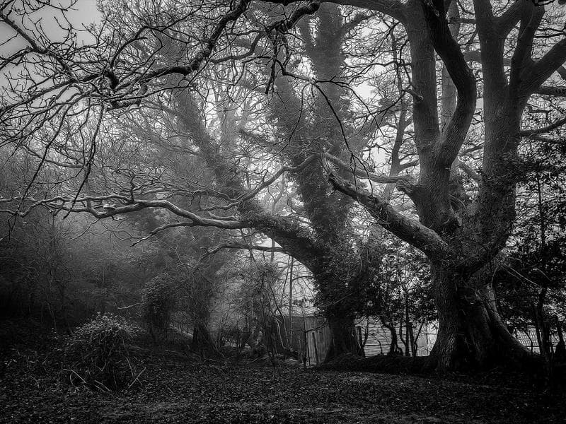 A Guide to Economics for Financial Freedom (Series 16)