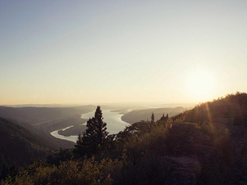 A Guide to Economics for Financial Freedom (Series 17)