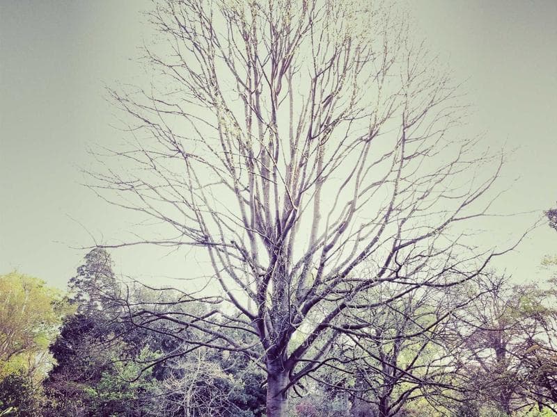 A Guide to Economics for Financial Freedom (Series 20)