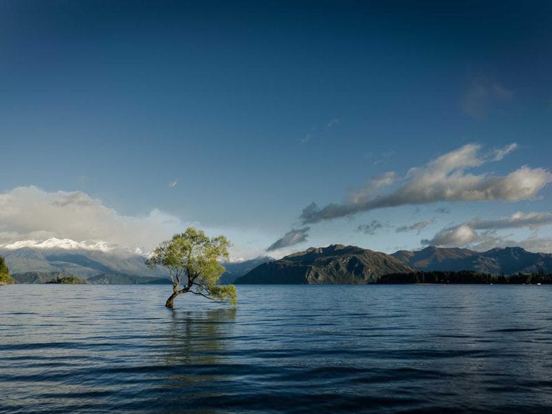 A Guide to Economics for Financial Freedom (Series 8)