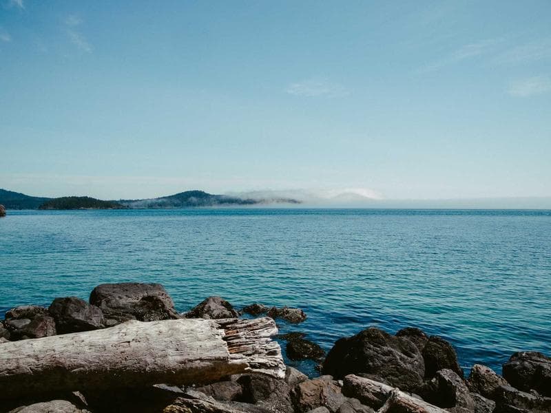 A Holistic Approach to Biohacking in the Modern World (Edition 10)