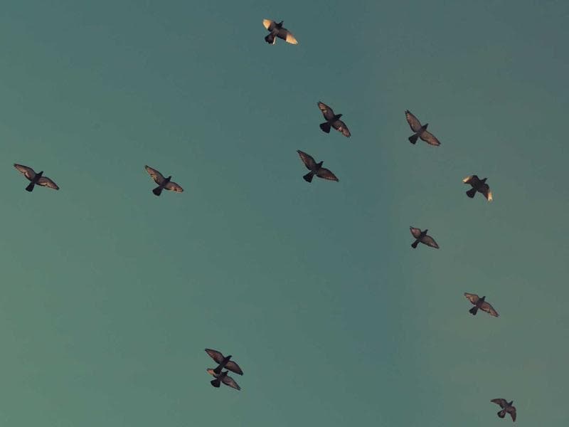 A Holistic Approach to Biohacking in the Modern World (Edition 3)