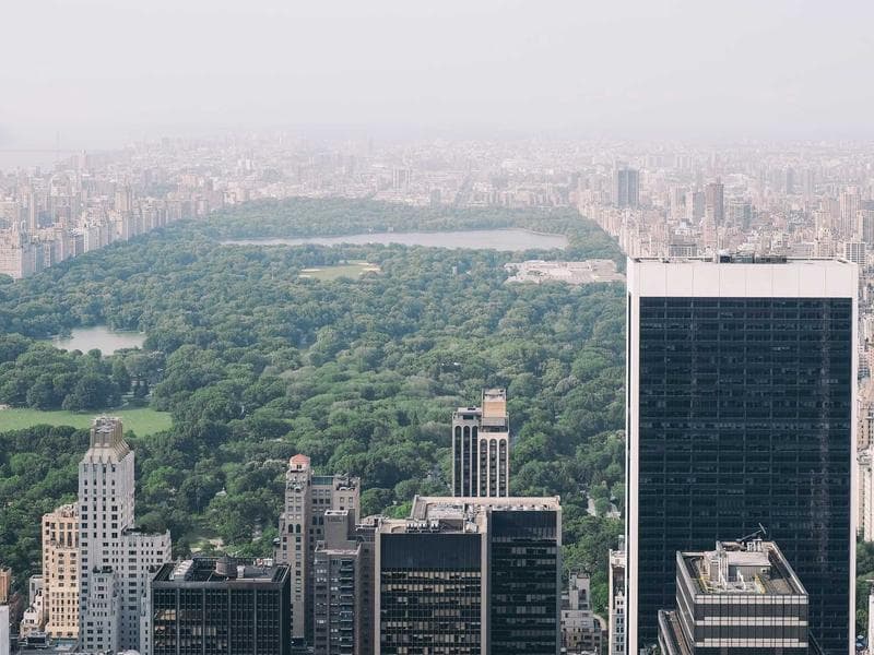 Are Progressive Web Apps (PWAs) the Future?