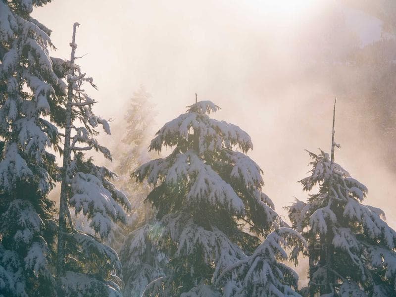 Best Annual Report Company for Companies in Pretoria