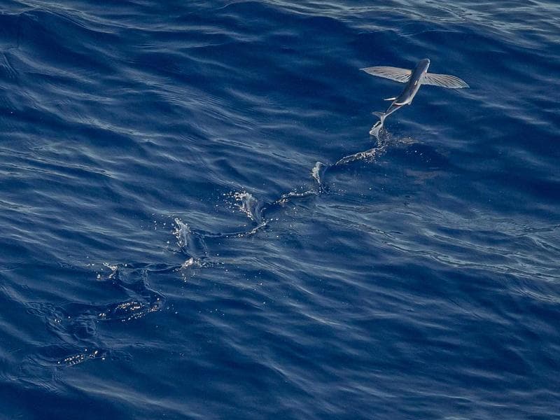 Best Practices for Cloud Computing for Small Business