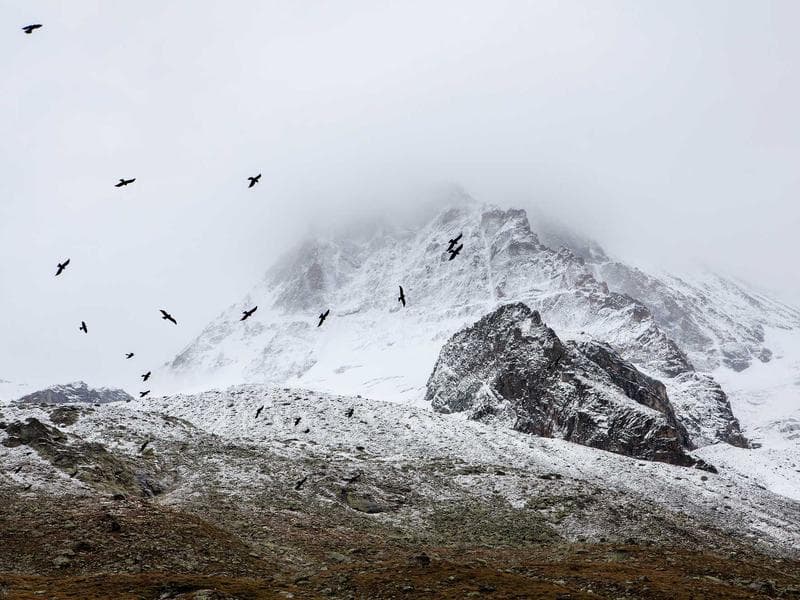 Best Practices for Data Science for Experts