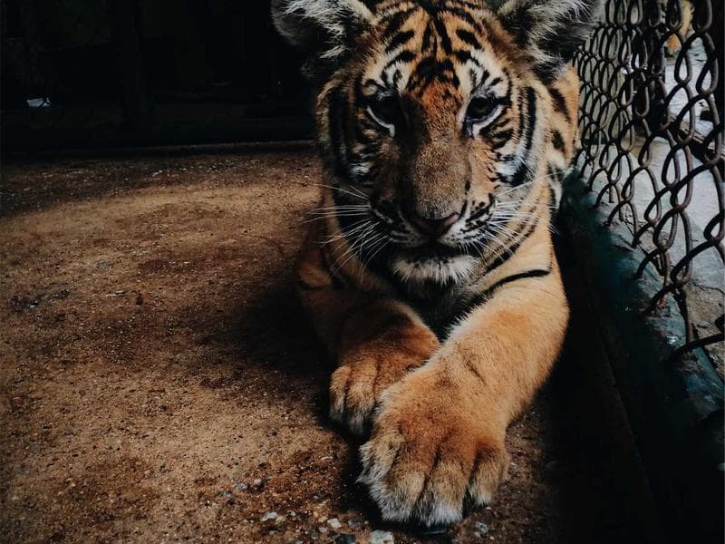 Brand Strategy for Healthcare Providers: A Comprehensive Guide