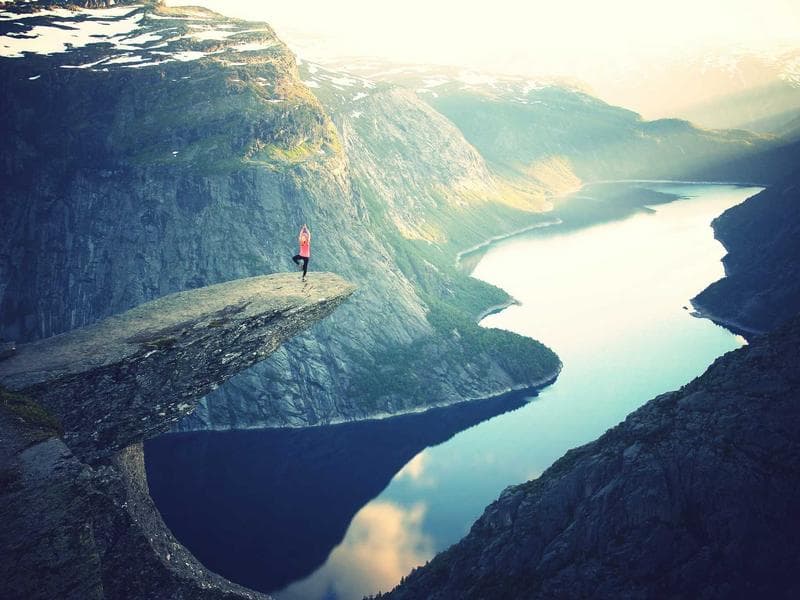 Case Studies in AI in 2026