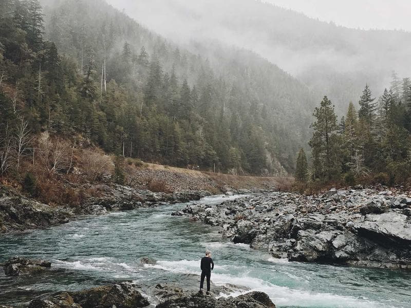 Case Studies in Blockchain in the Digital Age