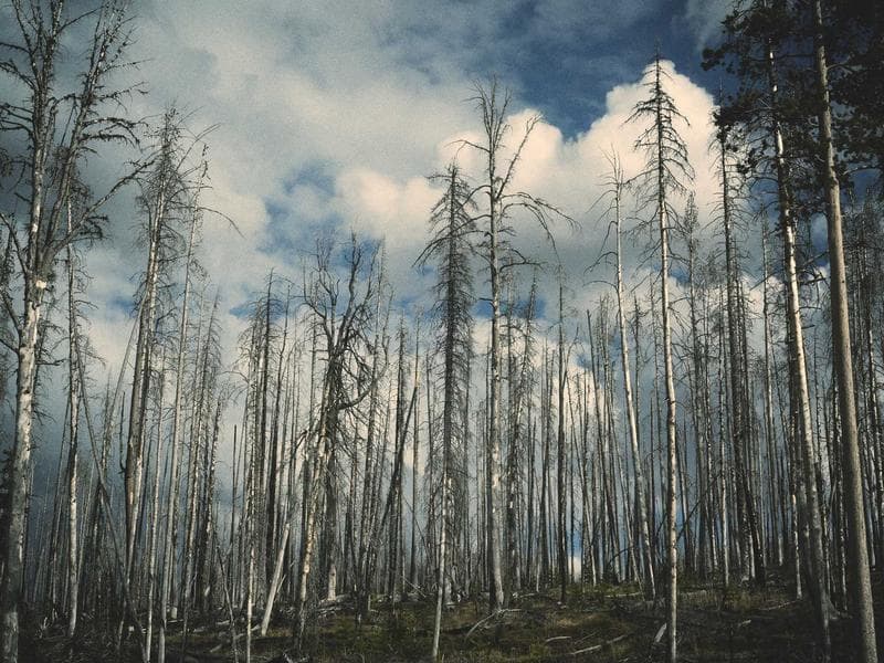 Common Mistakes in Blockchain for Enterprise