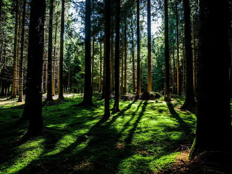 CSS Container Queries Explained