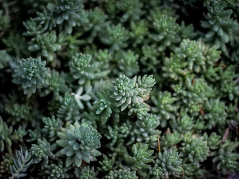 Custom Framer Build for Enterprise