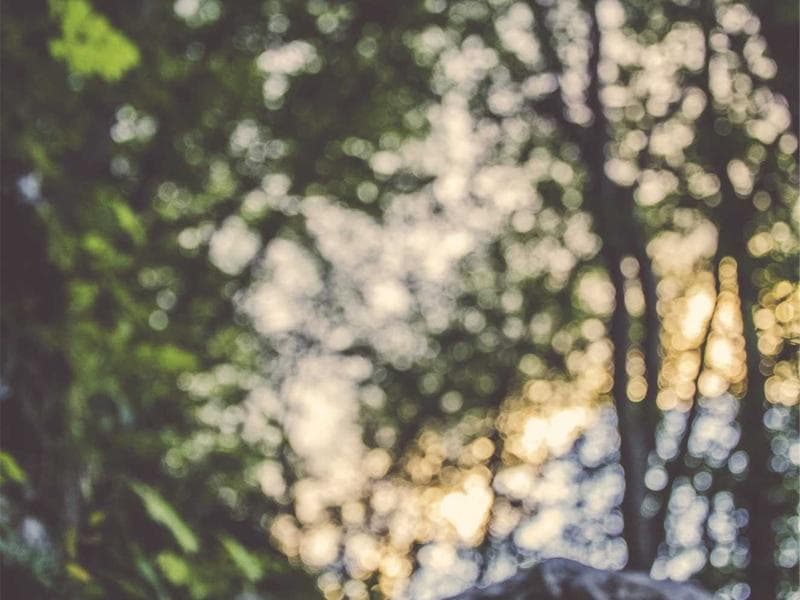  Cybersecurity Best Practices for Remote Creative Teams