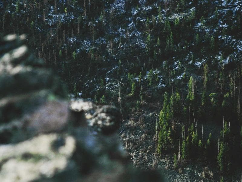 Drone Services Pricing Guide for South African Businesses