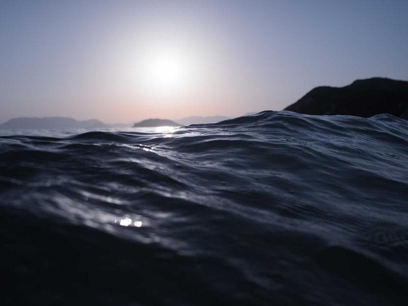 Expert SEO Agencies Serving Businesses in Waterfall