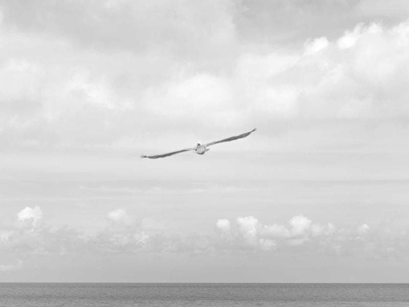 Headless Commerce: The Future of Online Shopping