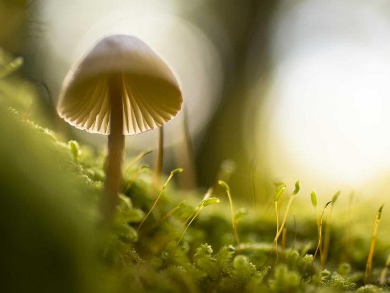 How to Choose the Right CMS for Your Business