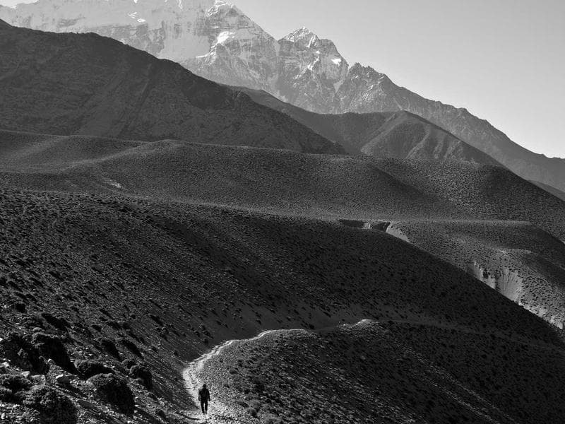 How to Create a High-Converting Landing Page