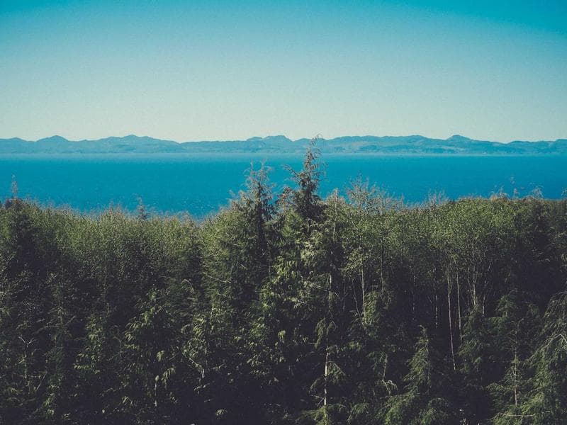 How to Design a Dark Mode Interface