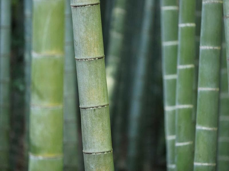 How to Improve Your Leadership : A Step-by-Step Guide (Vol. 10)