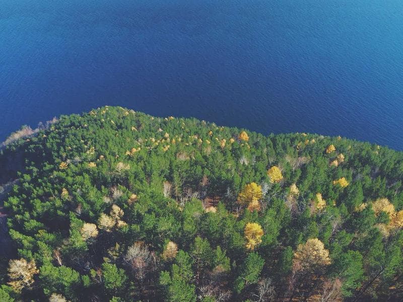 How to Improve Your Leadership : A Step-by-Step Guide (Vol. 14)