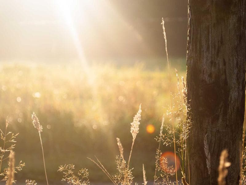 How to Improve Your Leadership : A Step-by-Step Guide (Vol. 15)