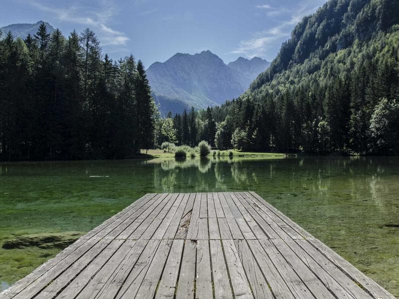 How to Improve Your Leadership : A Step-by-Step Guide (Vol. 7)