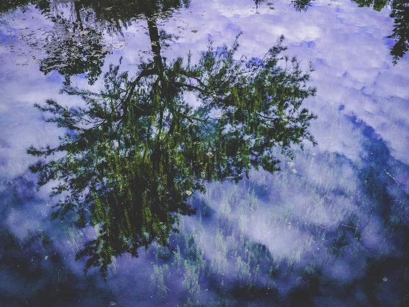 How to Improve Your Leadership : A Step-by-Step Guide (Vol. 8)