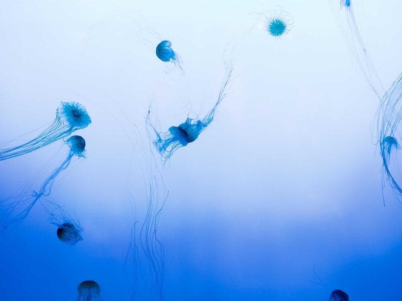 How to Master Cloud Computing in 2026