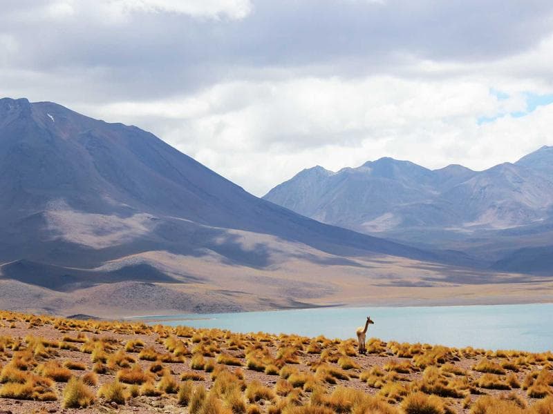 How to Master Cybersecurity Driven Growth