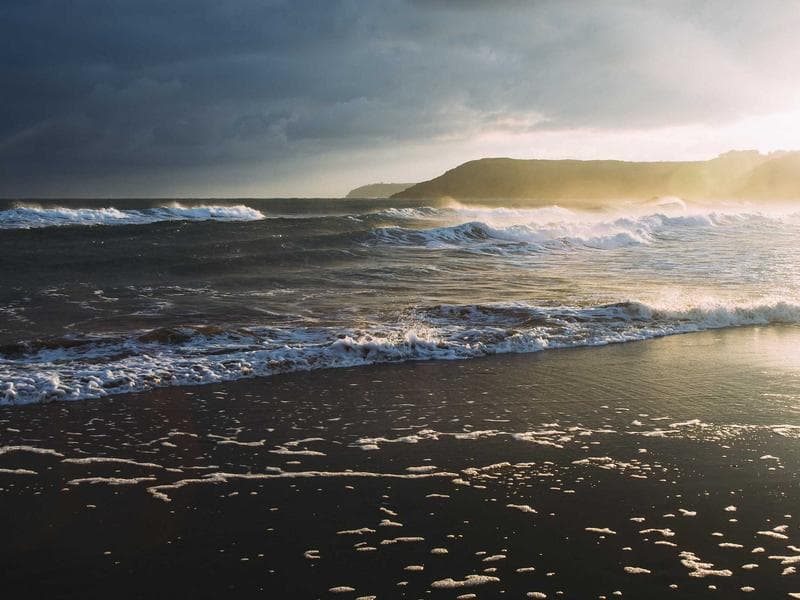 How to Master Data Science for Startups