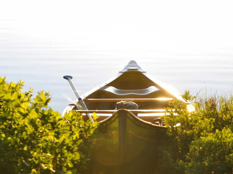 Improving Your Nutrition and Longevity (Edition 8)