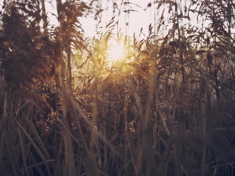 Innovations in AI in 2026