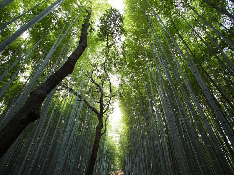 Innovations in Data Science for Experts