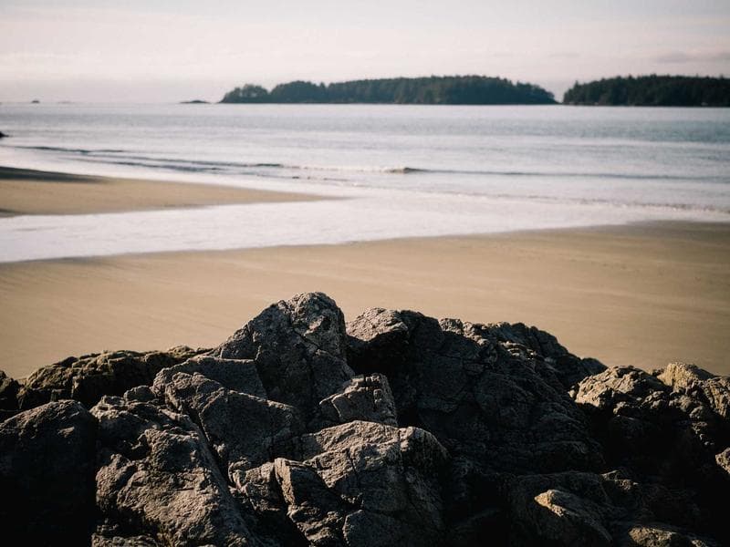 Innovations in Data Science in the Digital Age