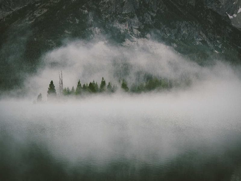 Innovations in Wellness in 2026 (Edition 1)