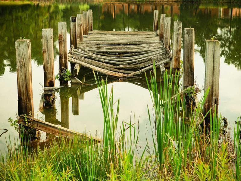 Innovations in Wellness in 2026 (Edition 5)