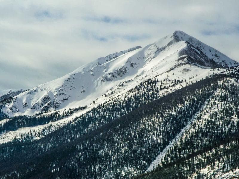 Is Lack of Leads Hurting Your Business? Here's the Fix.