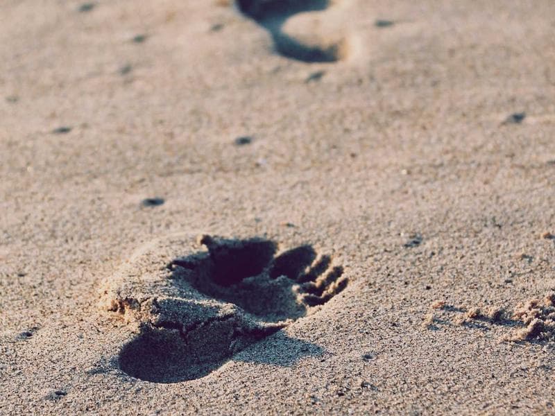 Is Poor Search Ranking Hurting Your Business? Here's the Fix.