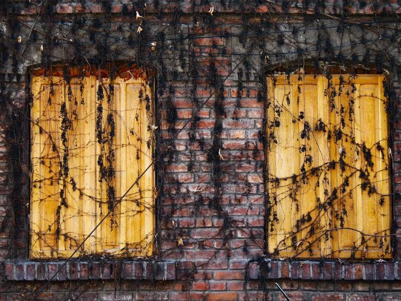 Leading Newsletter Design Solutions for 2026