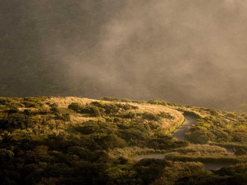 Leading Site Audit Solutions for 2026